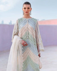 embroidered chicken kari Dress