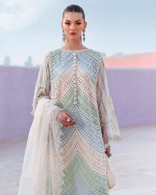embroidered chicken kari Dress